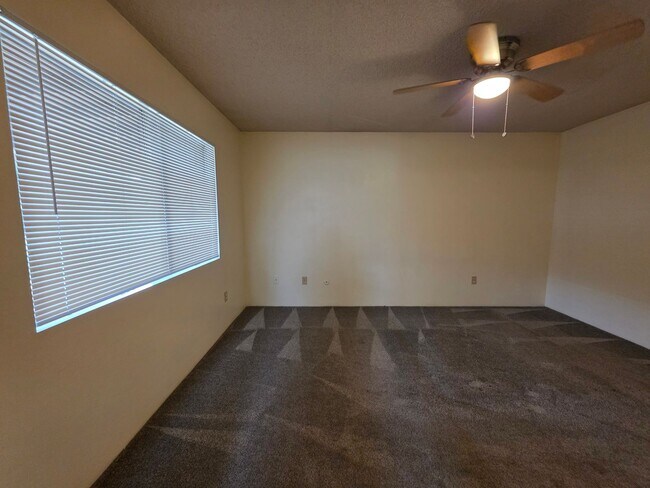 Building Photo - 3824 Christmas Tree Ln