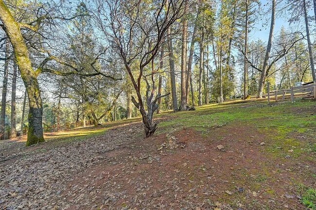 Building Photo - Beautiful 3BR/3BA Home on 1 Acre in Gated ...