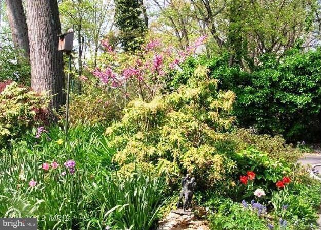 Building Photo - 10409 Gary Rd