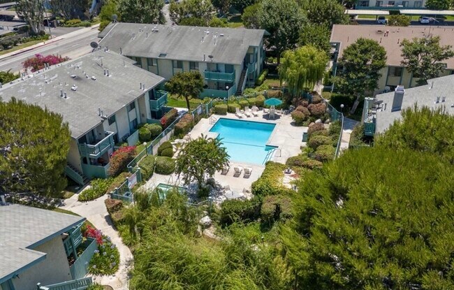 Pool area - 20415 S Vermont Ave