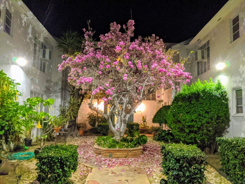 Garden at Night - 7677 Hollywood Blvd