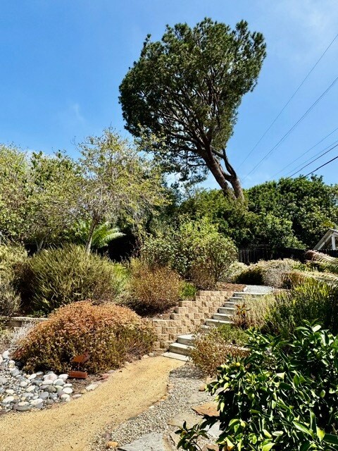 Building Photo - 4461 Scenic Ln