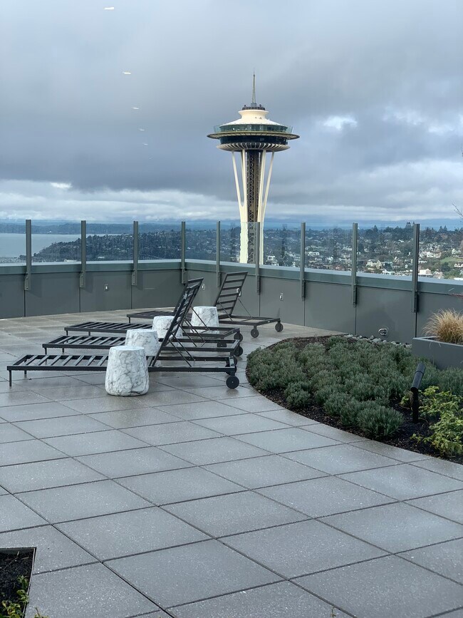 Rooftop deck - 2510 6th Ave