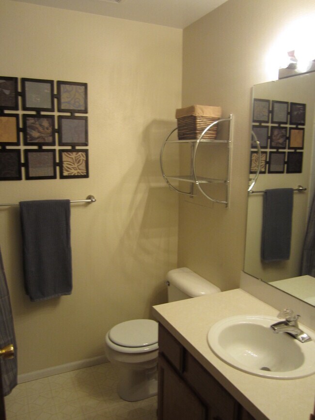 Building Photo - Beautiful 2 Bedroom, 1 Bathroom Condo Freshly Painted and New Carpet by Horsetooth Reservoir in F...