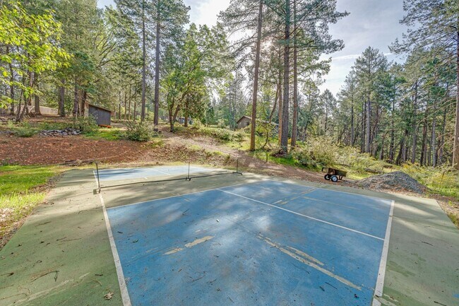 Building Photo - Updated Georgetown Home on 5 Acres with Huge Deck!