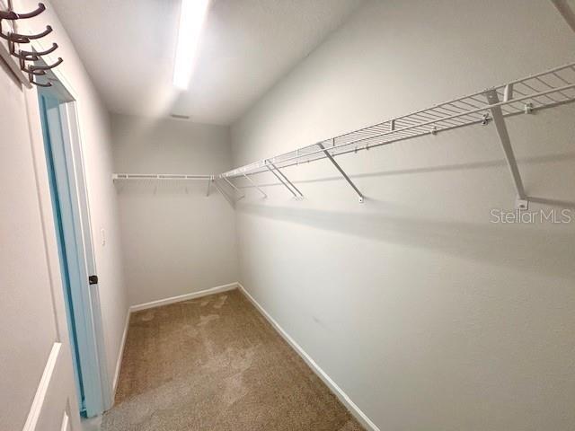 Building Photo - 72 Birchfield Ln