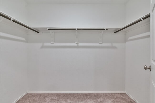 Building Photo - 3707 Solanum Dr