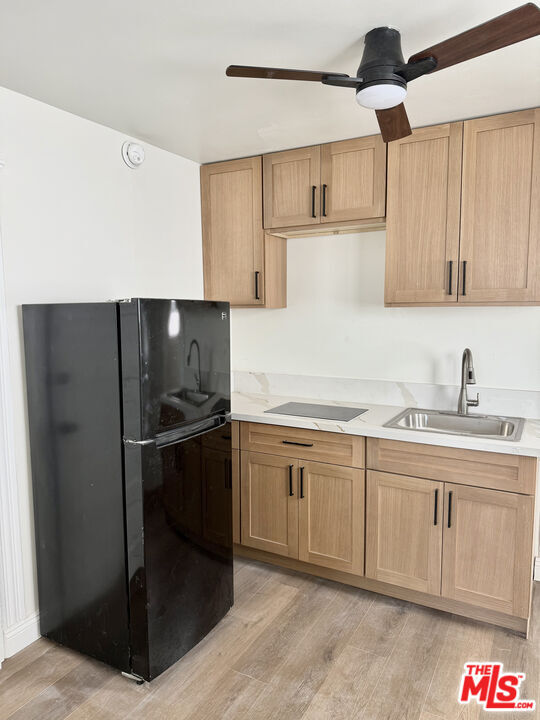 Building Photo - 44 Rose Ave