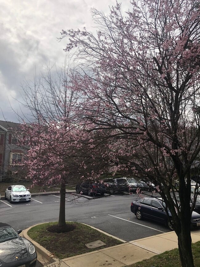 Building Photo - 7231 Calm Sunset