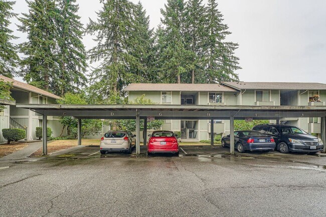 Building Photo - Top-Floor 1Bed/1Bath Apartment in Federal ...