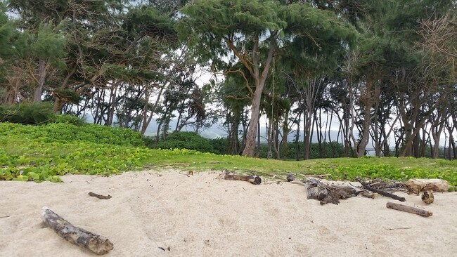 Building Photo - 55-116-116 Naupaka St