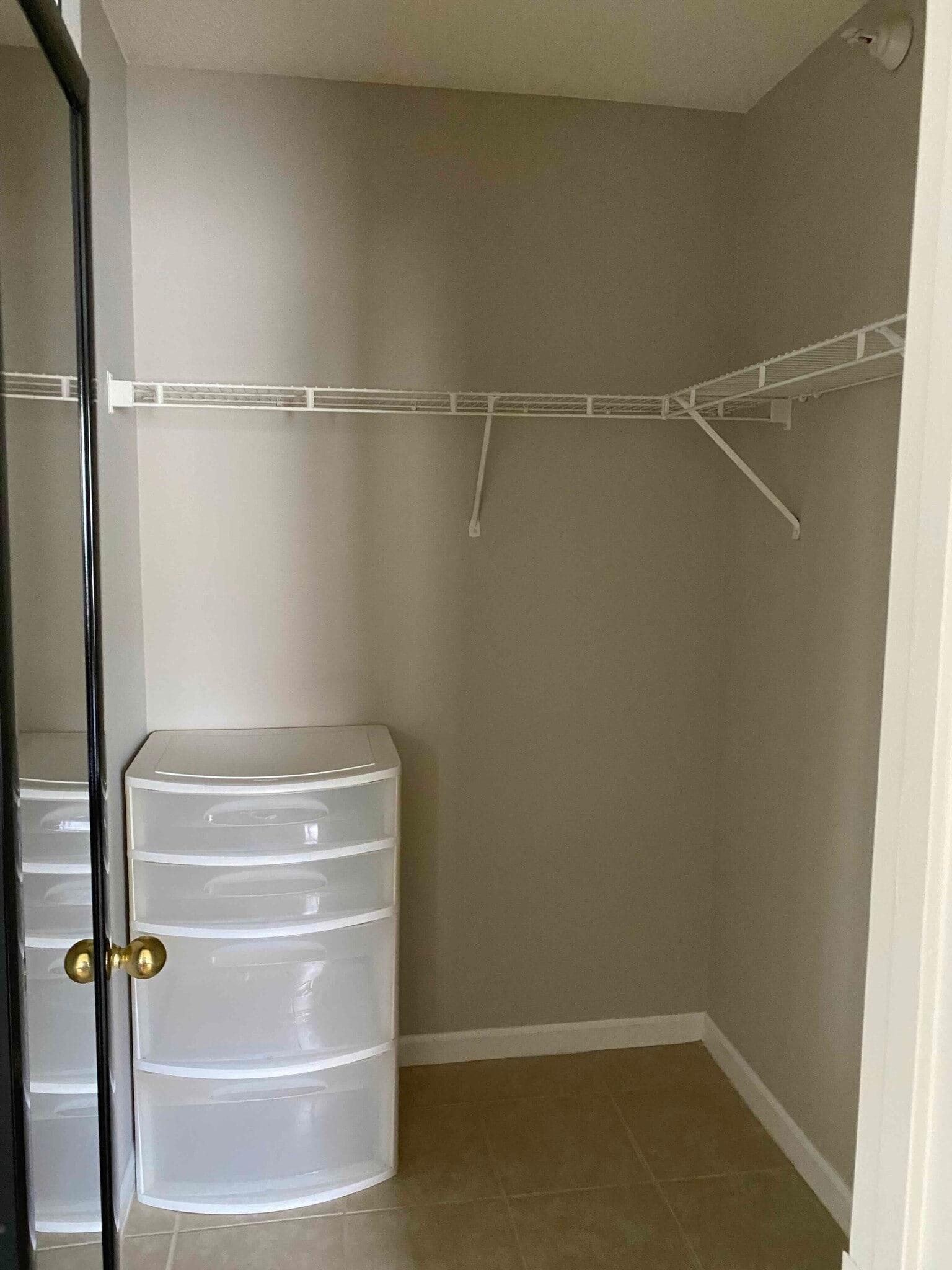 Building Photo - 3710 Pardue Woods Pl