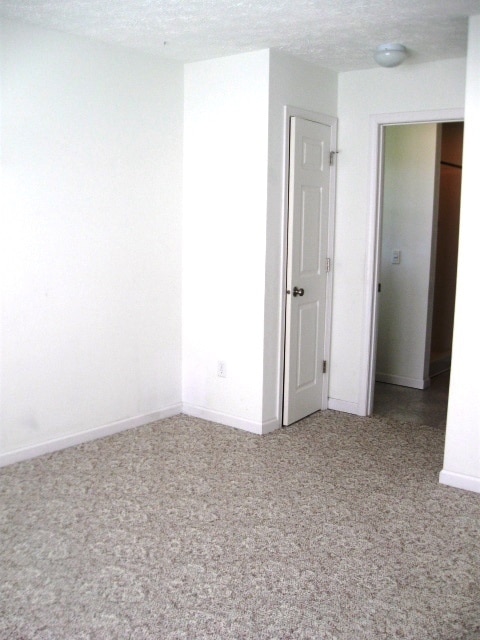 Building Photo - 247 Daniel Boone Dr Ext