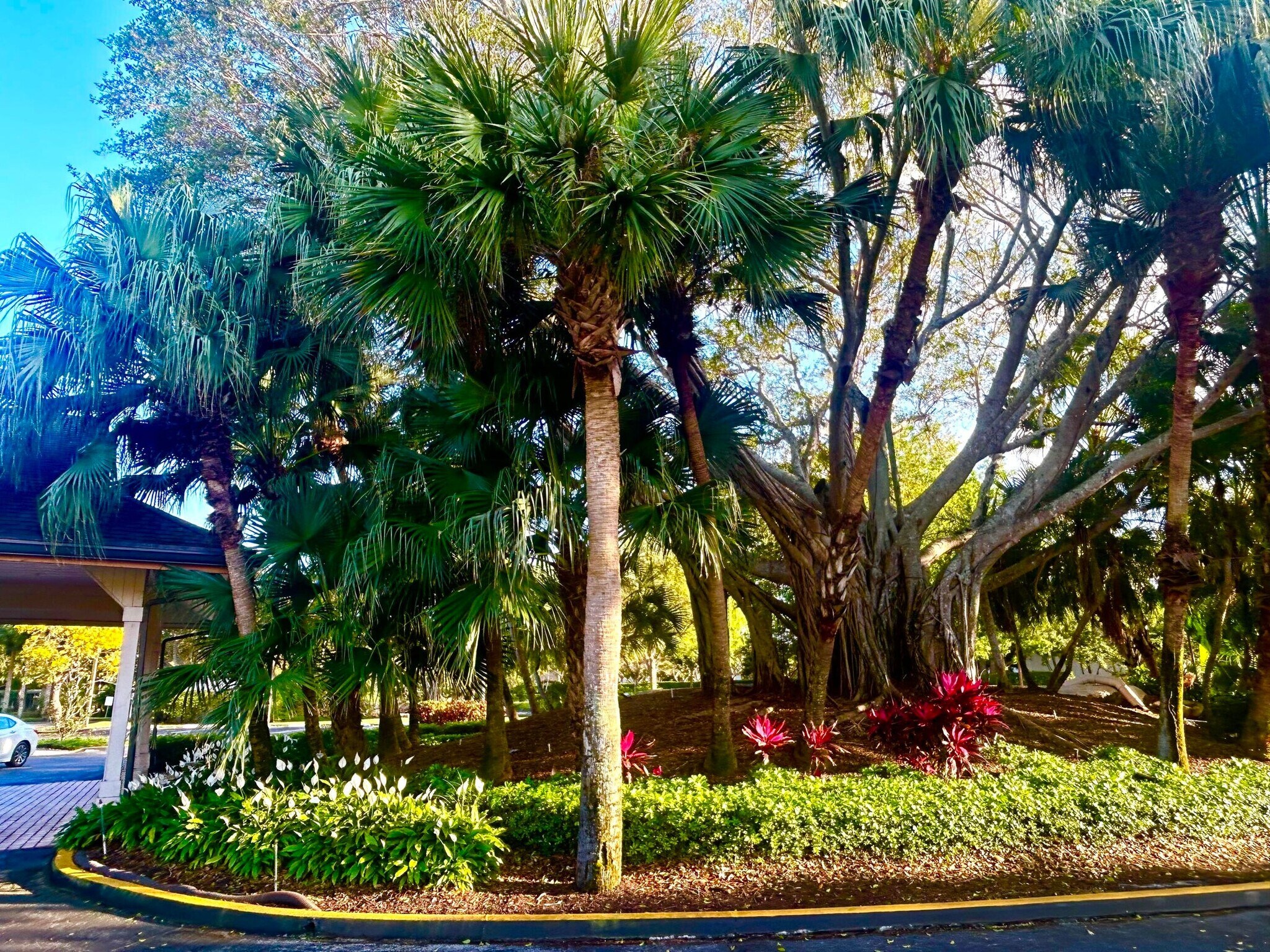 Building Photo - 10173 Mangrove Dr