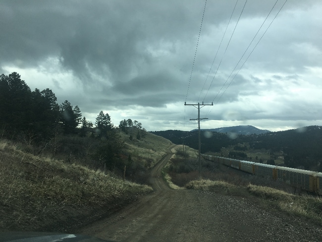 Building Photo - 77 Muir Rd