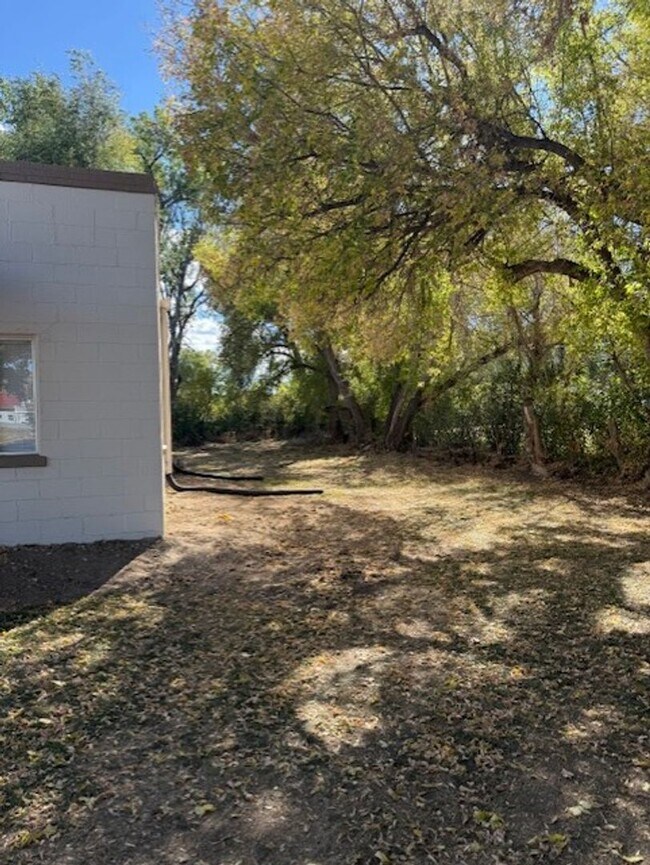 Building Photo - 806 Robinson Ave