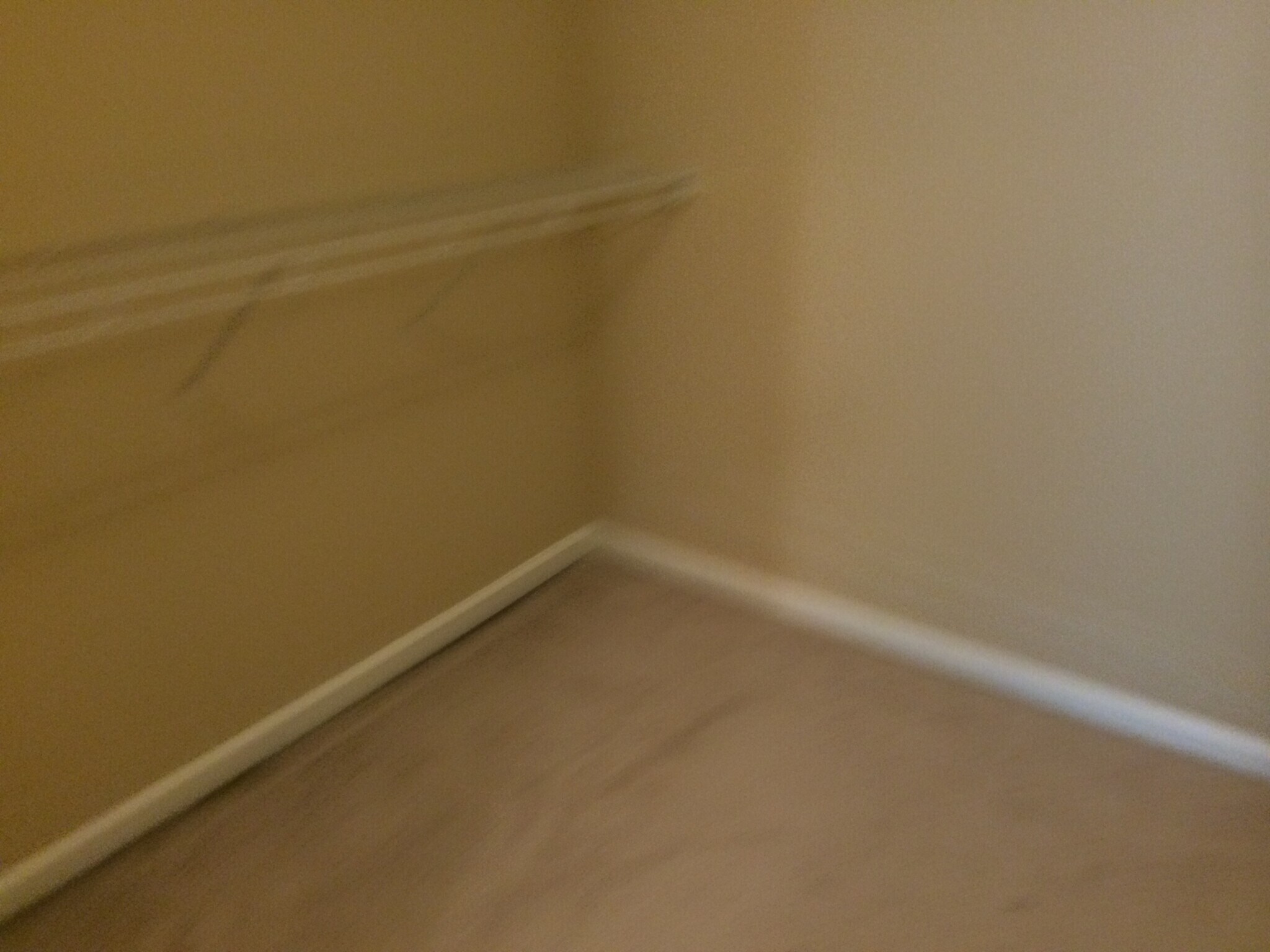Building Photo - 1384 bellsmith dr