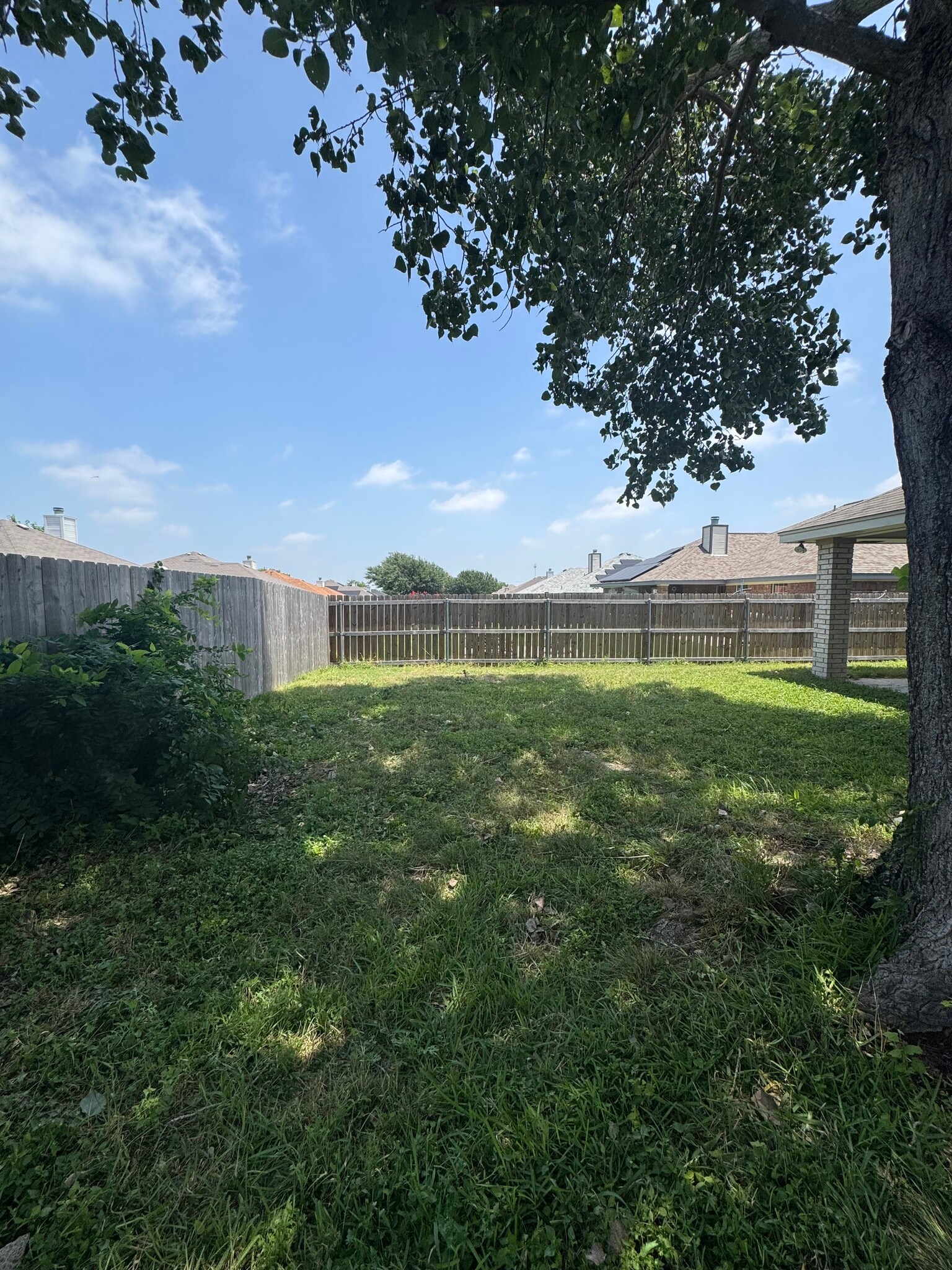 Backyard - 4301 Capri Dr