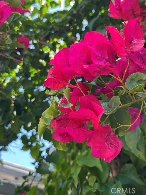 Building Photo - 5216 S Budlong Ave