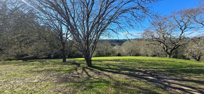 Building Photo - Privacy And Space In The Heart Of Rural West County. Minutes From Sebastopol And The Bay.