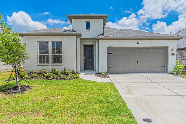 Building Photo - 316 Amenduni Ln