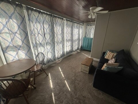 Sunroom with pullout couch - 162 Broadway