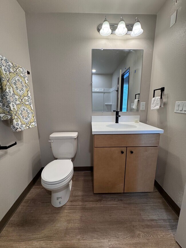 Building Photo - Beautiful, Brand New Studio Near CSU!