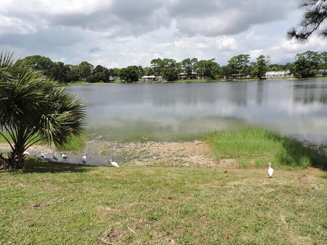 Building Photo - 4529 Square Lake Dr