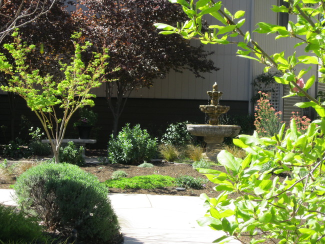 Building Photo - Ironwood Condominiums