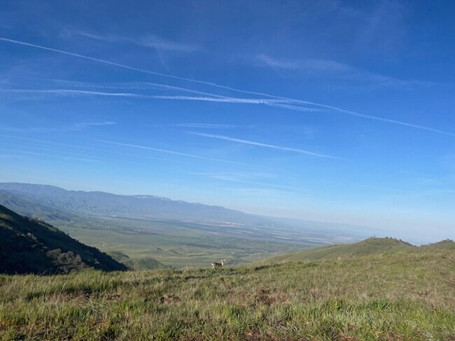 Building Photo - Amazing Mountain Views...