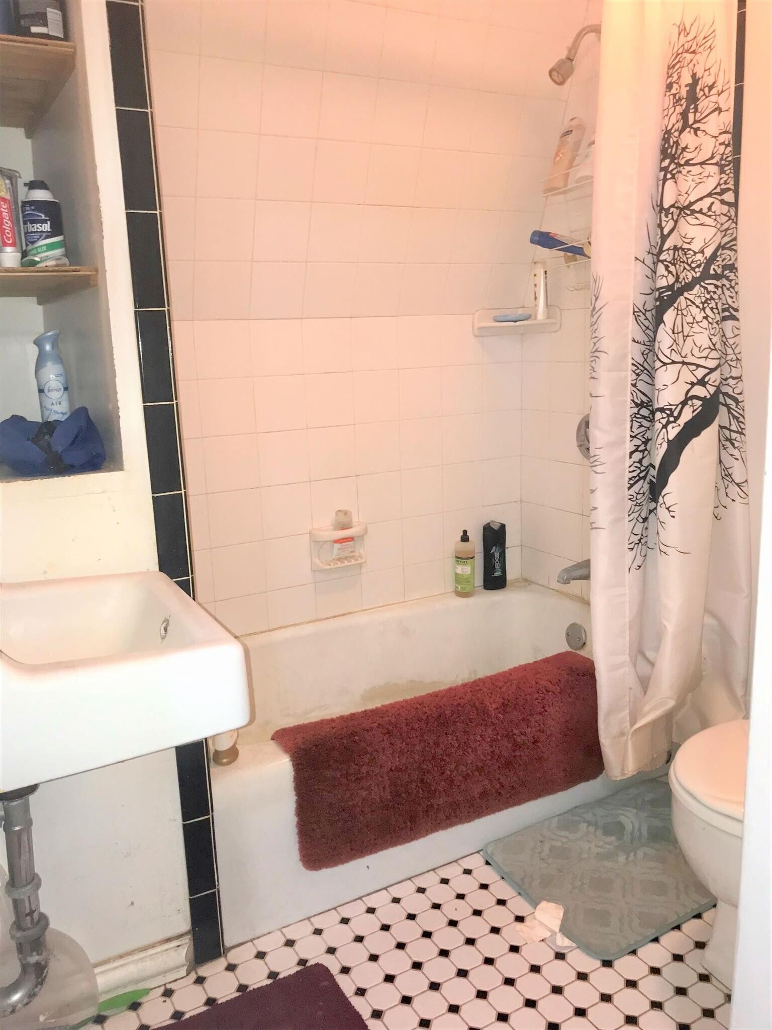 Building Photo - 3 Windsor Rd