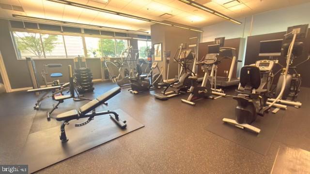 Building Photo - 5750 Bou Ave