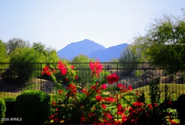 Building Photo - 6738 E Montreal Pl