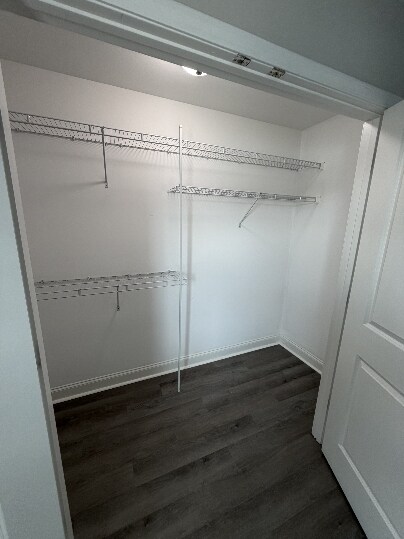 Building Photo - 2878 Jubilee Dr
