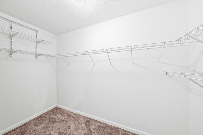 Building Photo - 8024 Briantea Dr