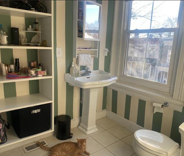 Building Photo - 317 S Pine St