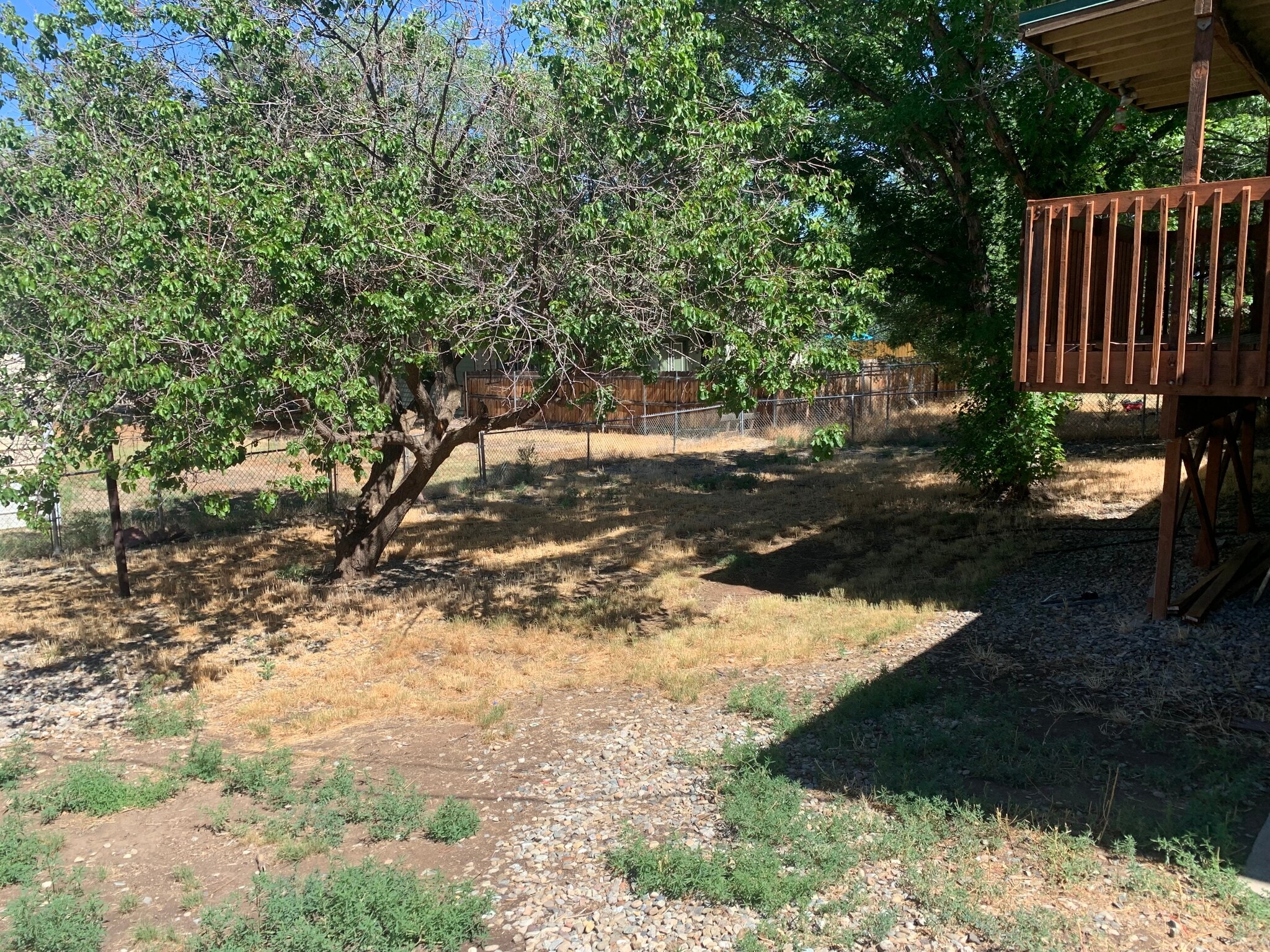 Large Fenced backyard - 805 N Austin St