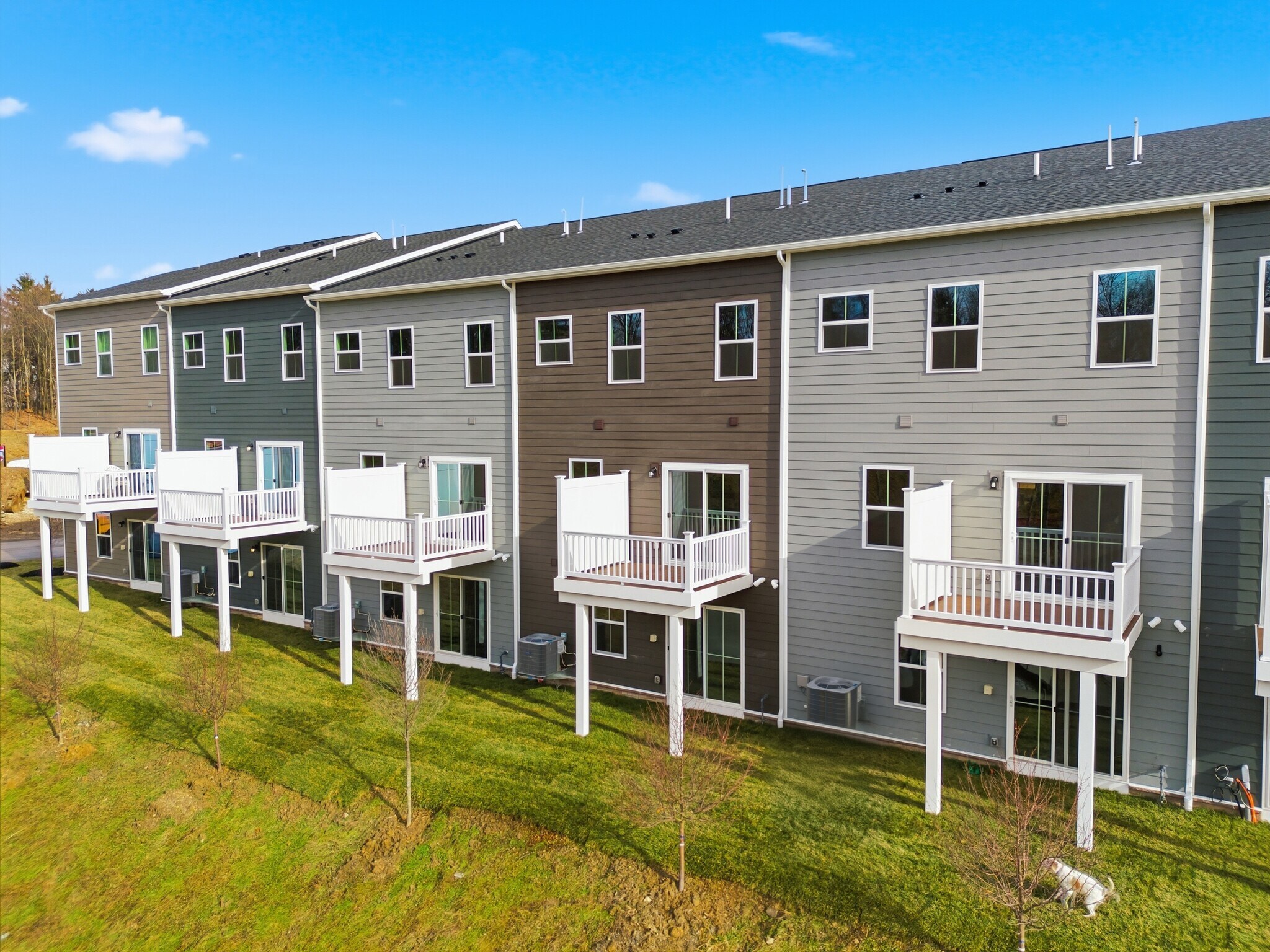 Building Photo - 339 Telluride Ln