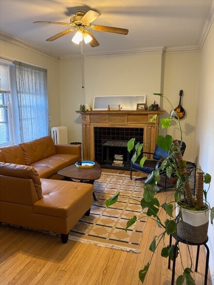 Living room - 212 N Oak Park Ave