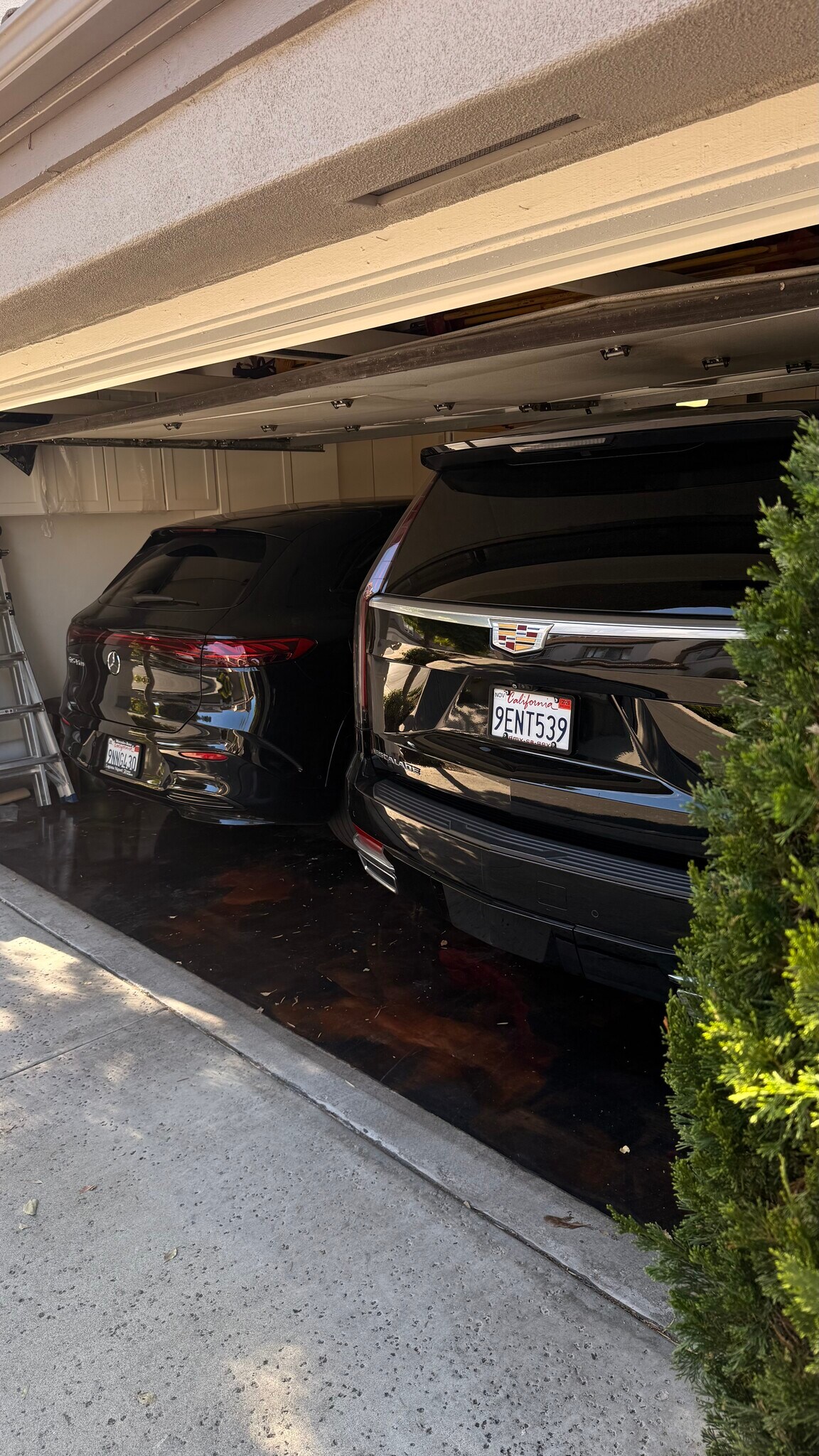 Building Photo - 26253 Solrio