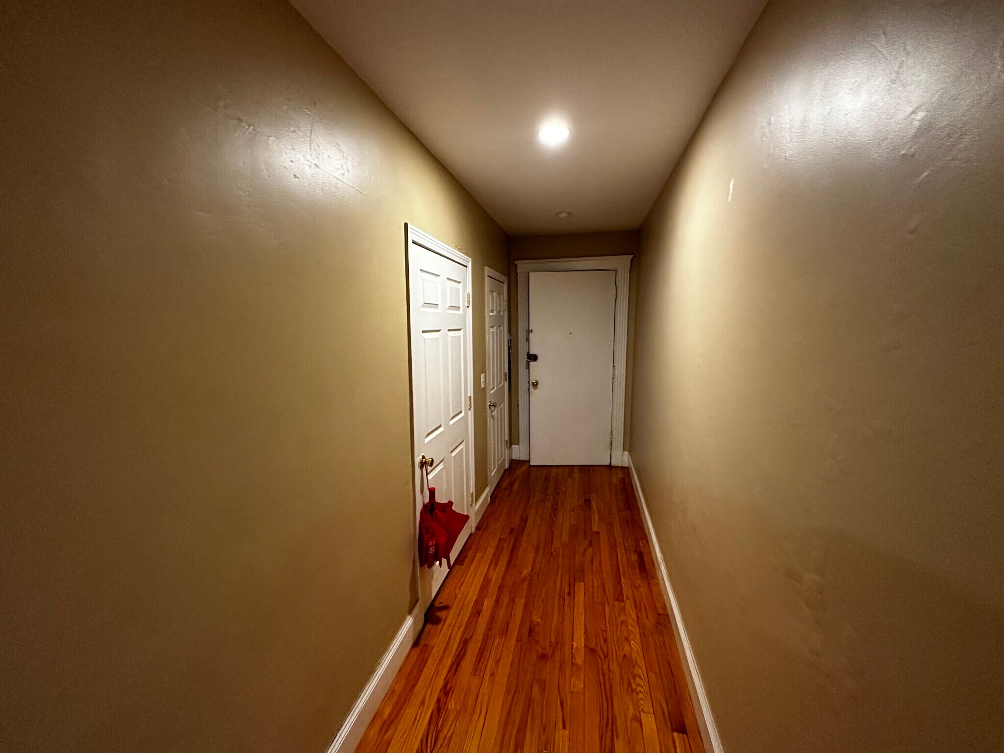 Building Photo - 60 Egmont St