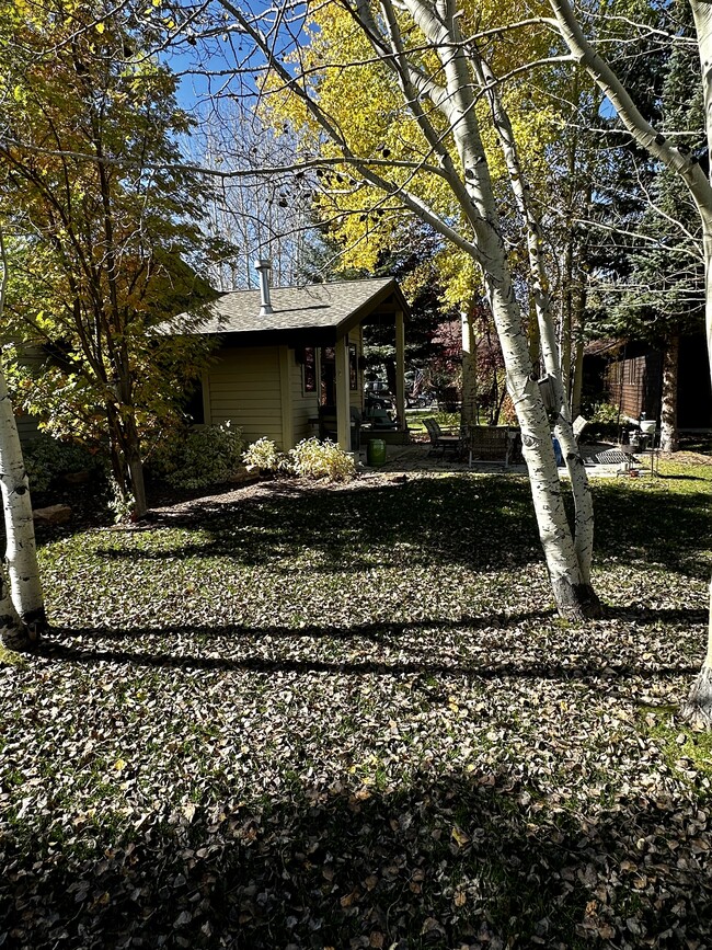 Backyard, privacy landscaping - 1525 W Pinto Dr