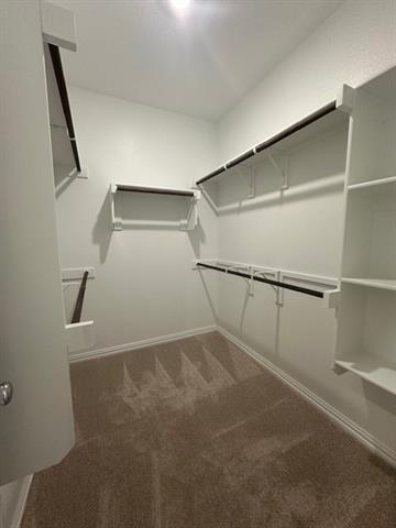 Building Photo - 3205 Kiskadee Ct