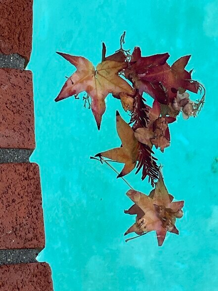 Building Photo - 717 Navaronne Way