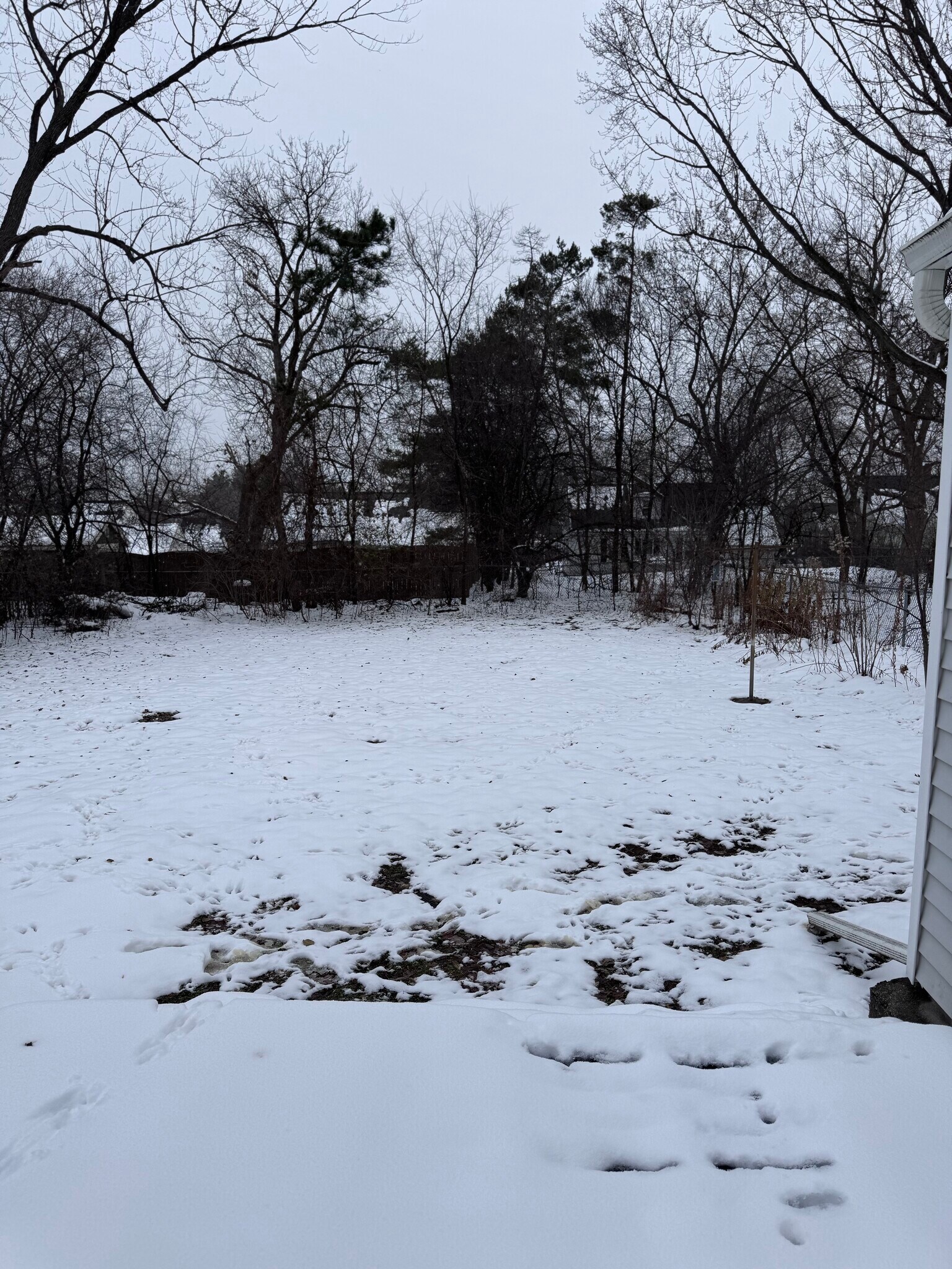 Building Photo - 119 Traister Dr