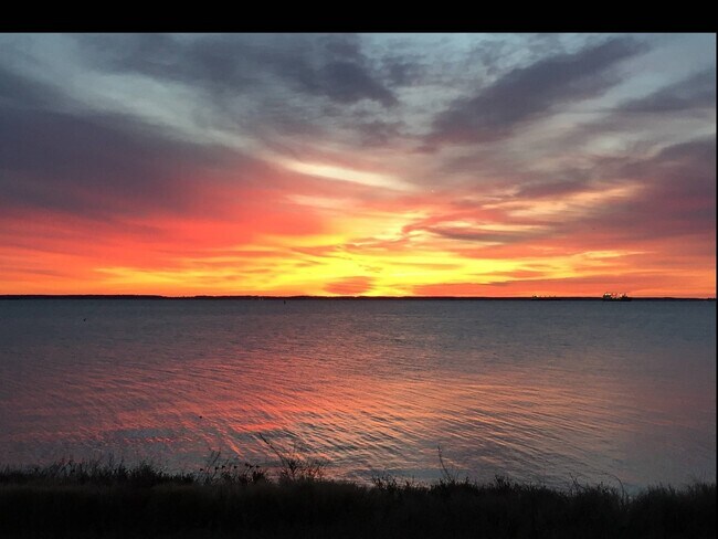 Building Photo - Home in Bay Ridge with beautiful views of the Chesapeake Bay!