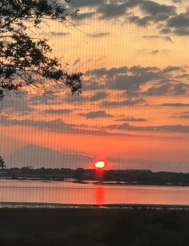 Building Photo - 28 Alcira Ct