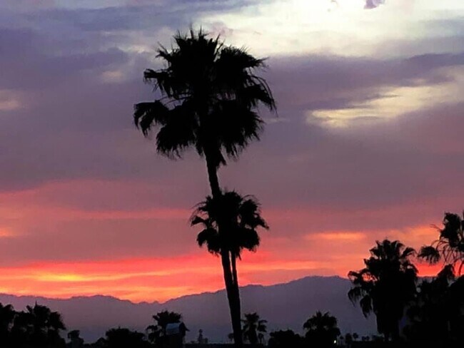 Building Photo - Top-Floor Oceanview Studio with Private Balcony - Redondo Beach Pier in Your Backyard