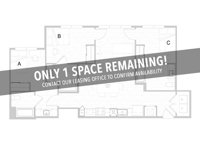 C1 - Only 1 Space Remaining! - Identity Davis Student Apartments