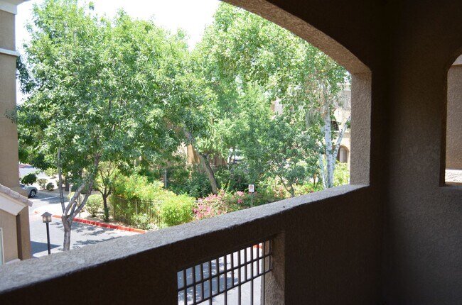 Building Photo - MOVE IN Special!!  Biltmore 2 bedroom!